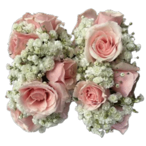 Pink Elegant Gajray