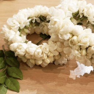 White Jasmine Gajray for Weddings and Events
