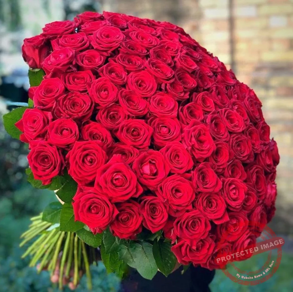 Send 100 Red Roses Bouquet to Pakistan