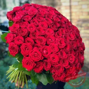 Send 100 Red Roses Bouquet to Pakistan
